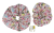 718c6ae80036ceb52b39fee43a6545d1.png