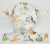 d0fc14658c3291e0bfb95bd12f1f3c69.png