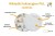 d68bfa2bd71ac7502cdb281b8d37b1dc.jpg