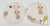 f5215d2385b6044db23bcb454fda1ea9.png