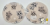 fc014fd9465b2c036624fe06495baaed.png