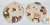 928c090cb8135631ff82d0eb101083ac.png