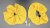 83fd637f03d84dd171a7741ee704c021.png
